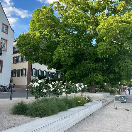 Luxurioeses 4-zimmer-apt Im Boutique-stil I Top-lage I Familienfreundlich I Balkon I Kueche I Netflix I Kostenloser Parkplatz I 110 M2